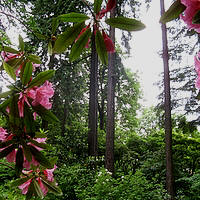 Berry Botanic Garden