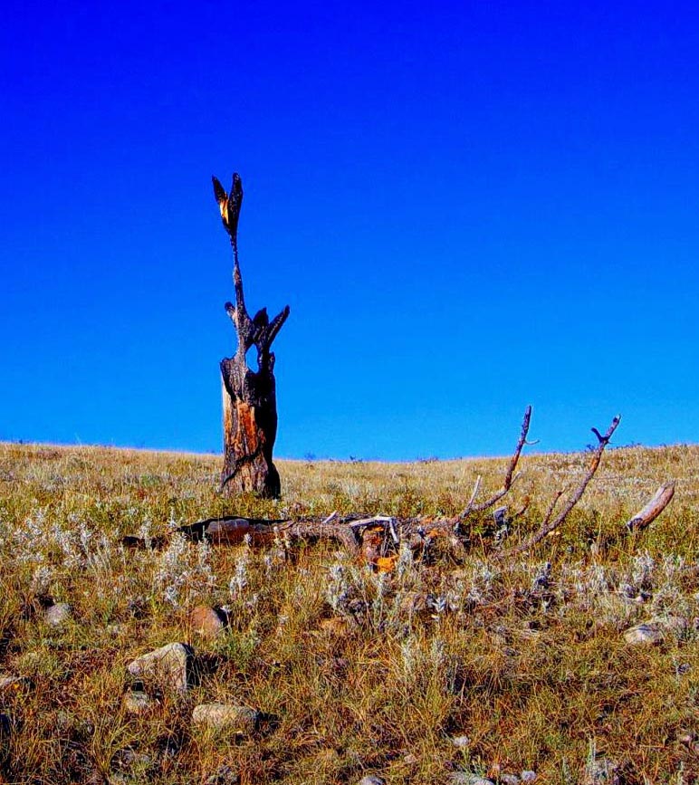 tree sculpture