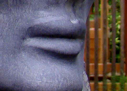 lips detail