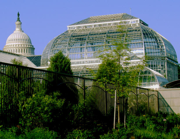 United States Botanical Garden